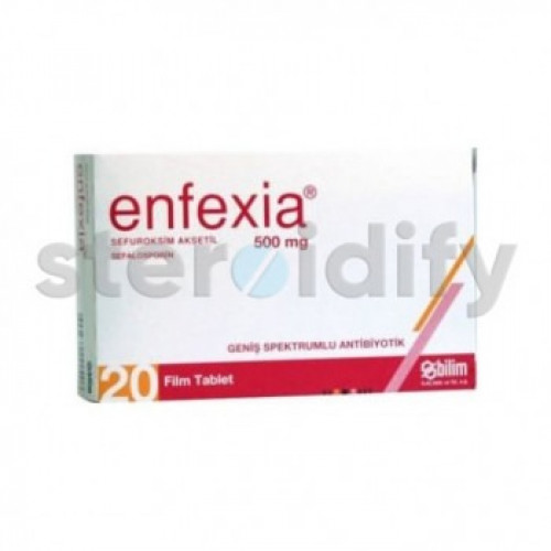 Enfexia Enfexia