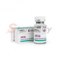Ultima-HCG 10000IU Ultima-HCG 10000IU