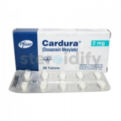 CARDURA 2 MG CARDURA 2 MG