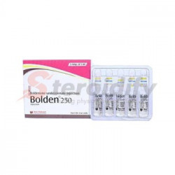 Bolden 250 Bolden 250
