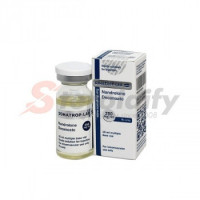 NANDROLONE DECANOATE NANDROLONE DECANOATE