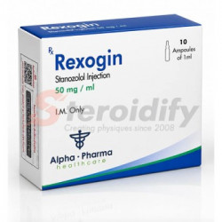 REXOGIN AMP REXOGIN AMP