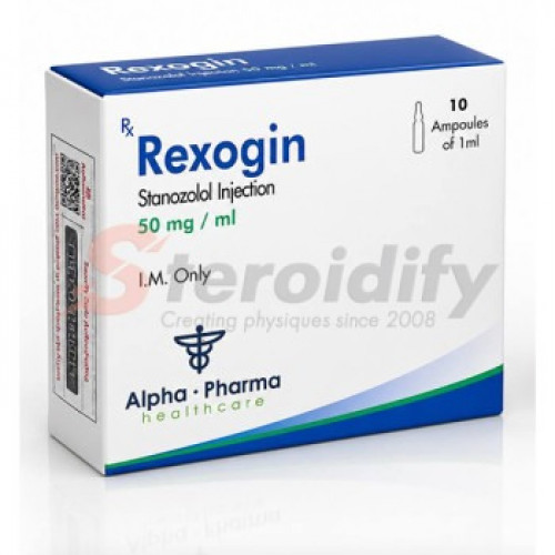 REXOGIN AMP REXOGIN AMP