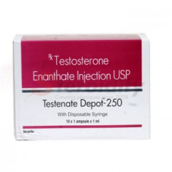 TESTENATE DEPOT 250MG TESTENATE DEPOT 250MG