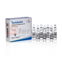 TESTOBOLIN AMP TESTOBOLIN AMP