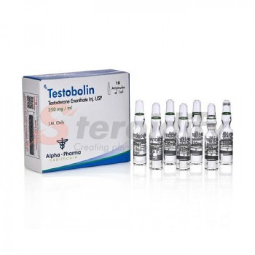 TESTOBOLIN AMP