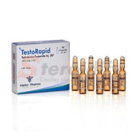TESTORAPID AMP TESTORAPID AMP