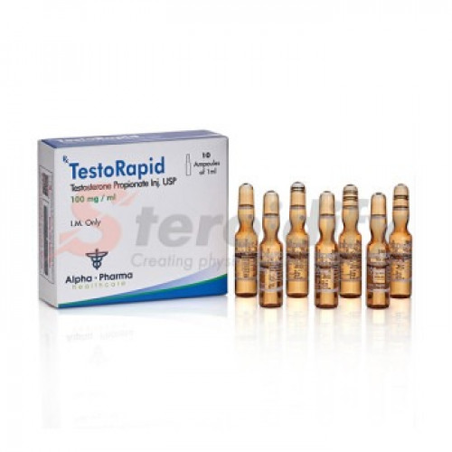 TESTORAPID AMP