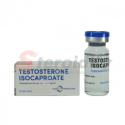 TESTOSTERONE ISOCAPROATE TESTOSTERONE ISOCAPROATE