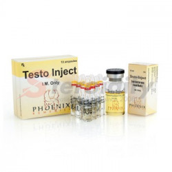 Testo Inject Testo Inject