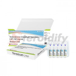 Teston 250 Teston 250