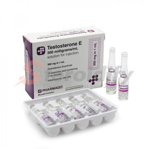 Testosterone E 300 (ampoules) Testosterone E 300 (ampoules)