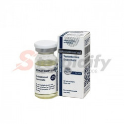 Testosterone Enanthate Testosterone Enanthate