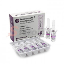 Testosterone P 100 (ampoules) Testosterone P 100 (ampoules)