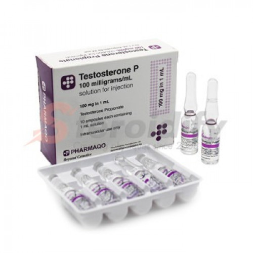Testosterone P 100 (ampoules) Testosterone P 100 (ampoules)