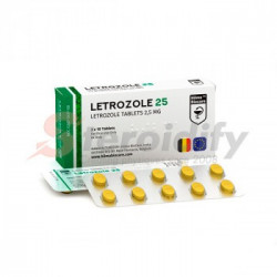Letrozole 25 (BLISTER) Letrozole 25 (BLISTER)