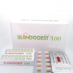 ENDOGEST 100MG ENDOGEST 100MG